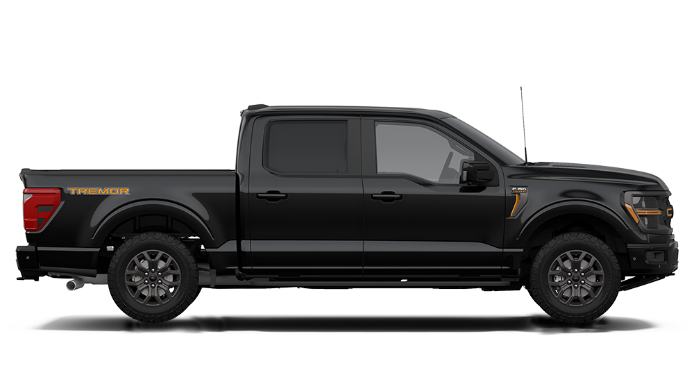 F-150 TREMOR 5.0L V8 4X4 AT             