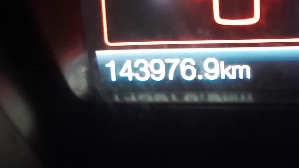 52556